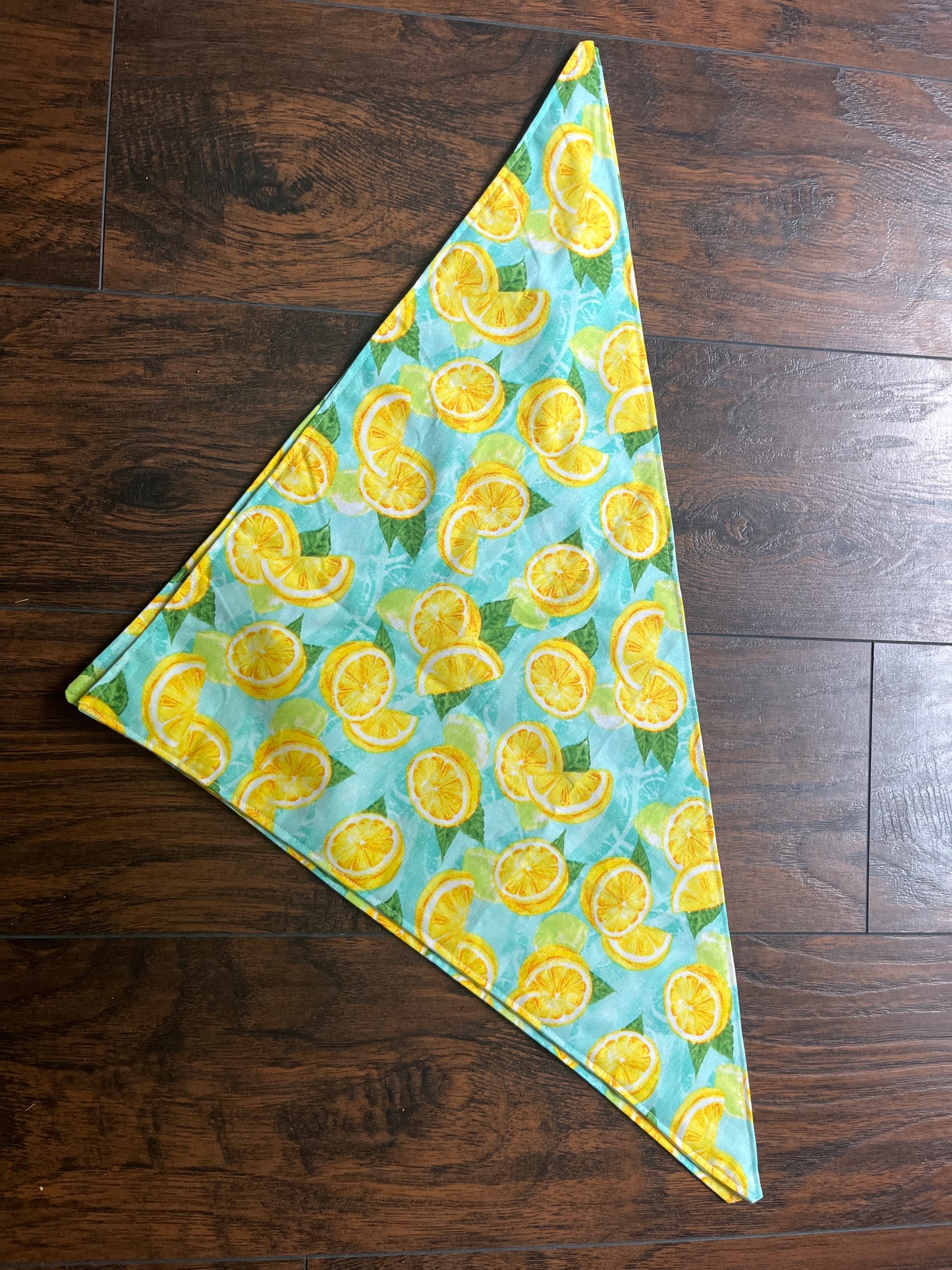 Large dog bandana