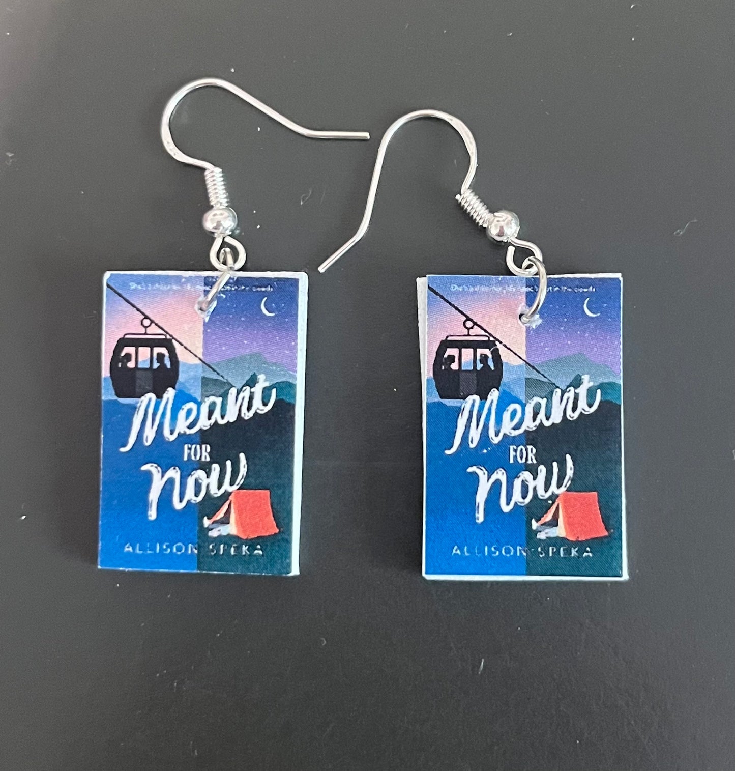 Book Earrings